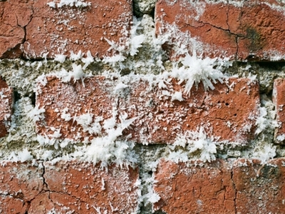 Cause Salpêtre Mur Intérieur | Origines et Solutions