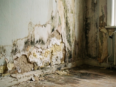 Rôle de l'arase étanche – L'essentiel pour vos murs