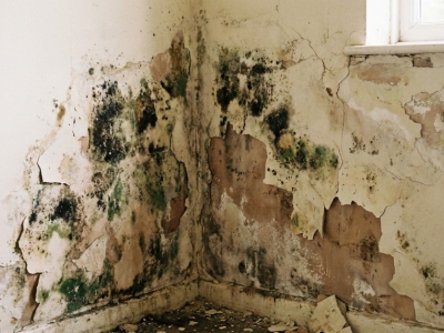 Facture de chauffage en hausse ? Le rôle de l'humidité des murs